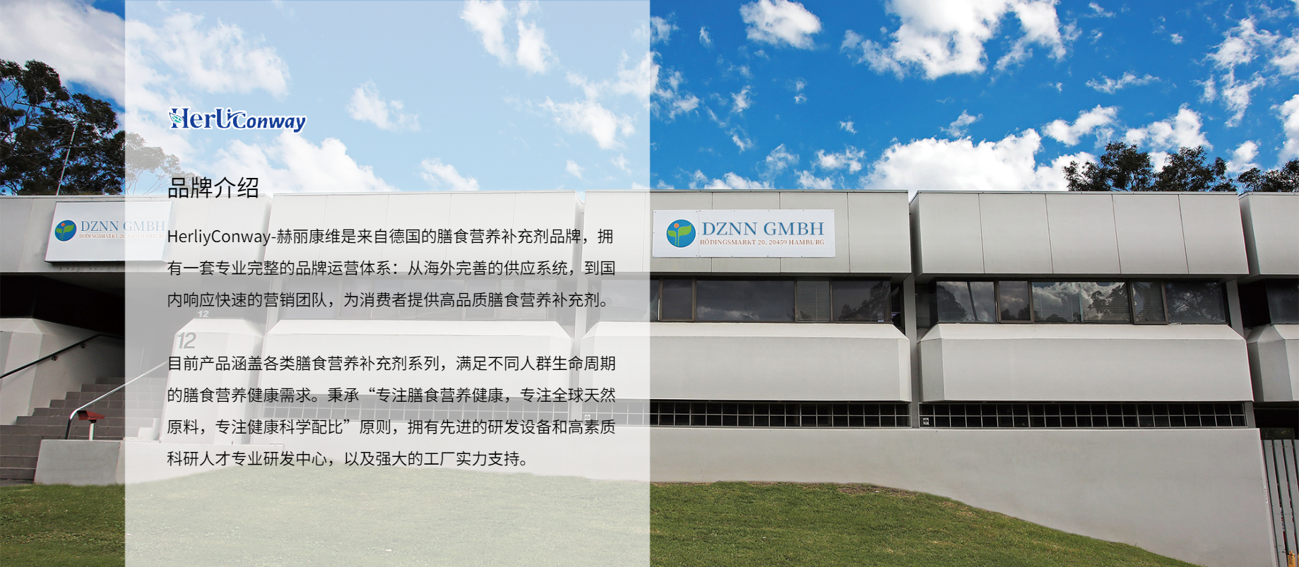 广告标题